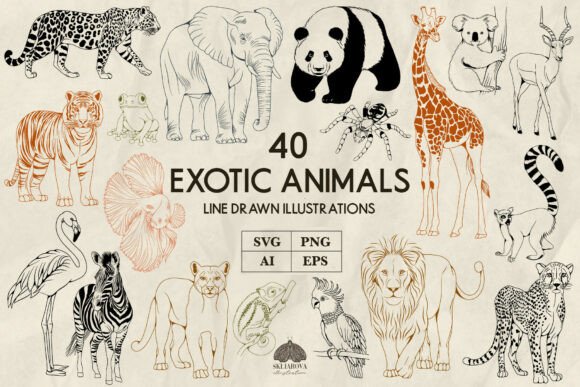 Download Exotic Animals Line Art Svg Png - Line art Collection